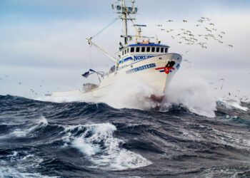 Deadliest Catch Boats Explained: The Real Fishing Vessels Used in the Show
