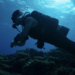 What Shark Attacked Explained: A Deep Dive into Shark Week 2026 Forensic Science