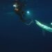 Sharkzilla Takes New York: The Truth Behind the Viral Shark Week 2026 Episode