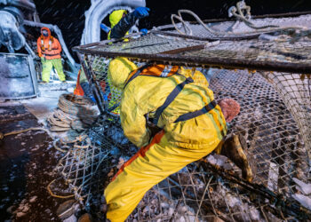 Deadliest Catch Discovery