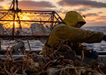 Deadliest Catch Most Dangerous Storms and Fishing Disasters Explained